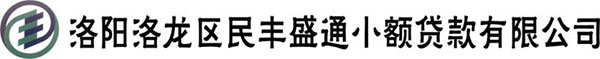 民丰盛通小额贷款有限公司